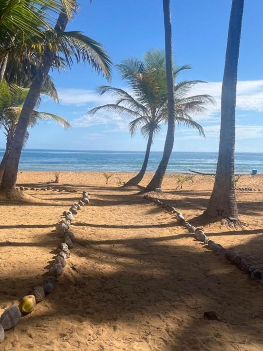 Oceanview Apartment Steps To The Beach Luquillo Eksteriør billede