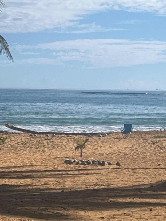 Oceanview Apartment Steps To The Beach Luquillo Eksteriør billede