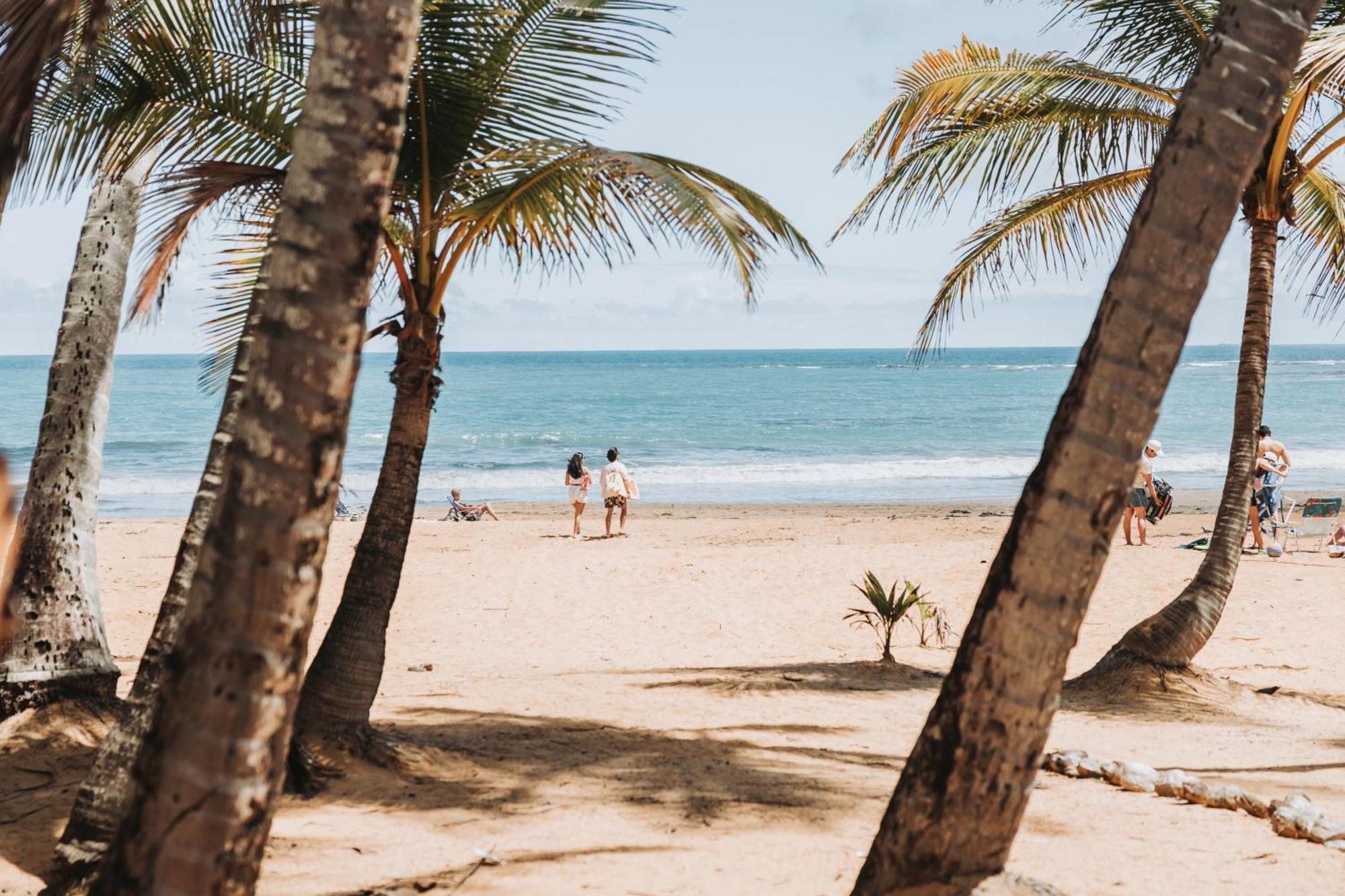 Oceanview Apartment Steps To The Beach Luquillo Eksteriør billede