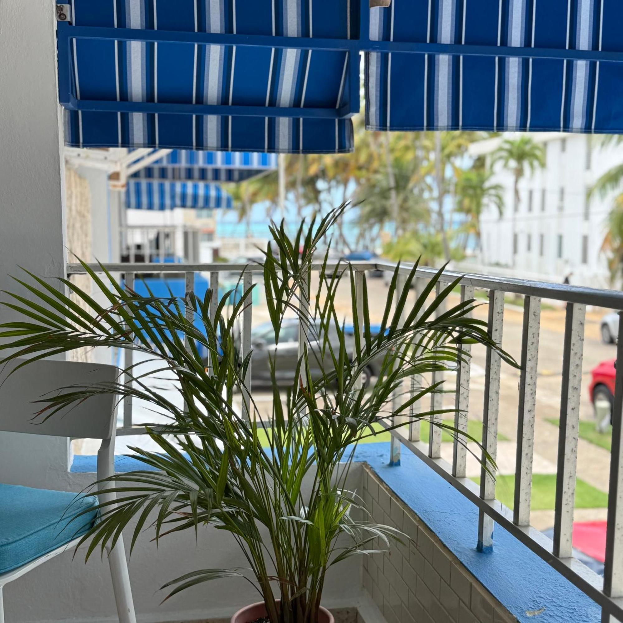 Oceanview Apartment Steps To The Beach Luquillo Eksteriør billede