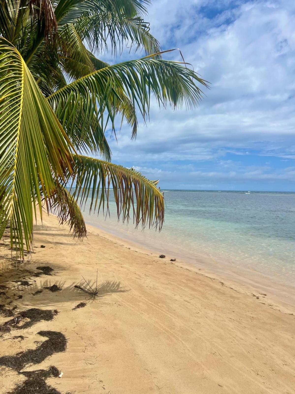 Oceanview Apartment Steps To The Beach Luquillo Eksteriør billede
